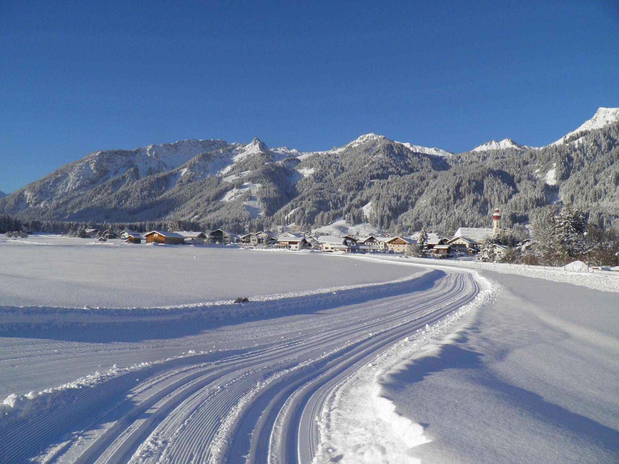 Apartahotel Alpenhof Waengle